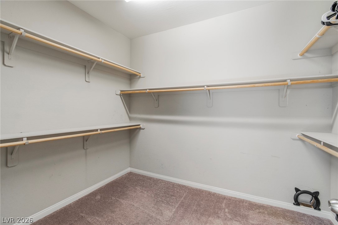 6883 Merril Summit Court Property Photo 21