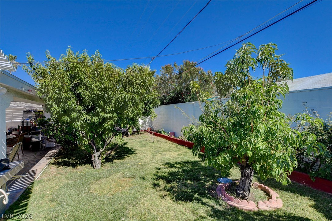 554 Canosa Avenue Property Photo 48