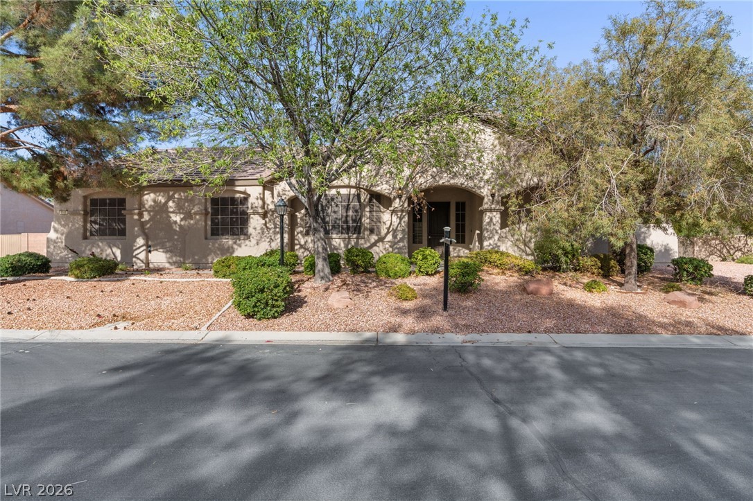 8088 Winchester Bluff Street Property Photo 6