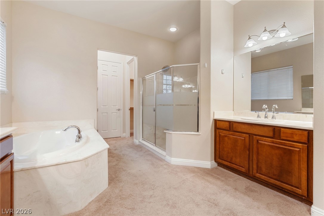 8088 Winchester Bluff Street Property Photo 47