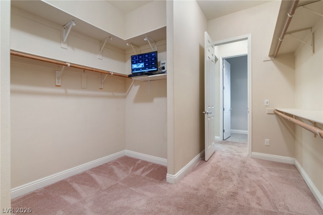 8088 Winchester Bluff Street Property Photo 51