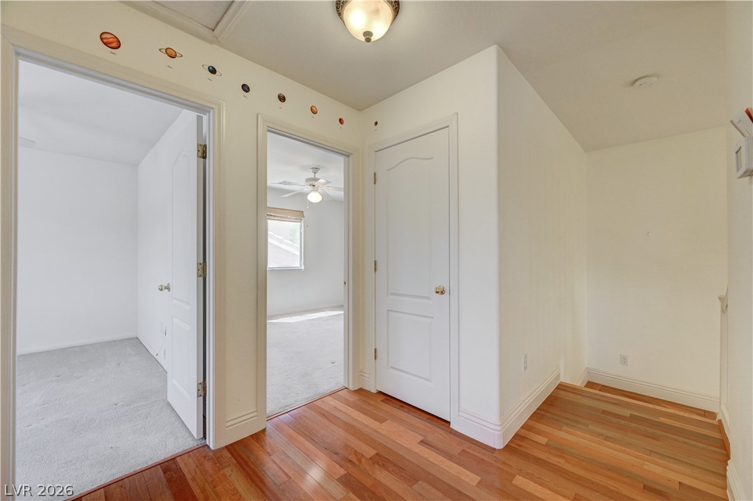 33 Staghorn Street Property Photo 26