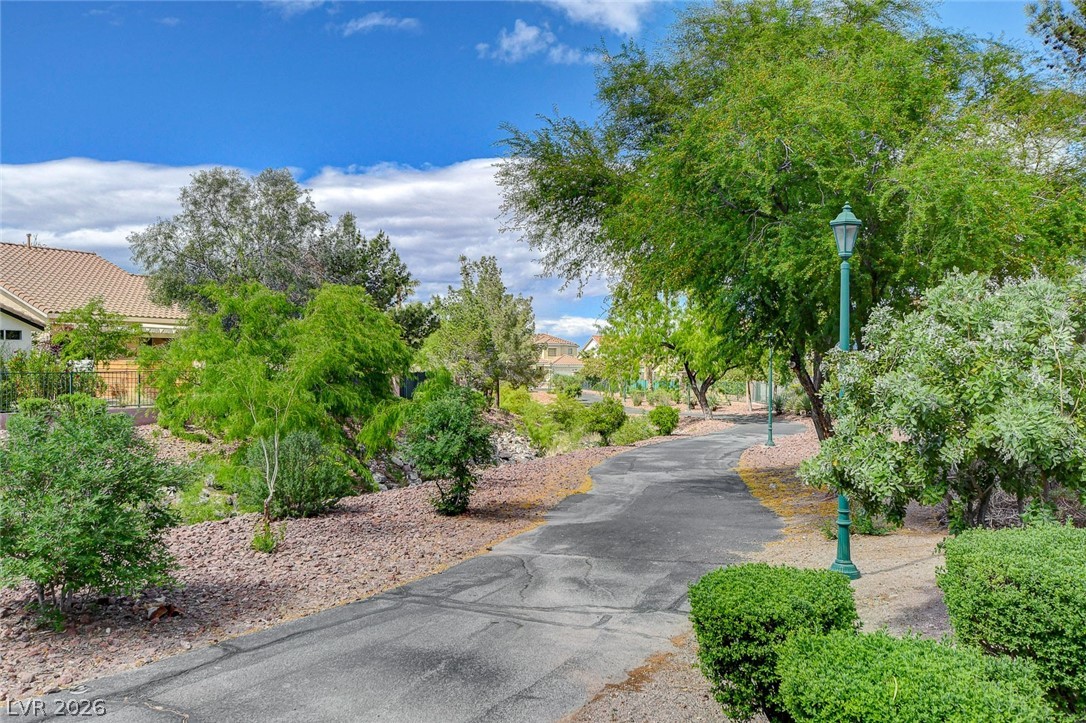 33 Staghorn Street Property Photo 48