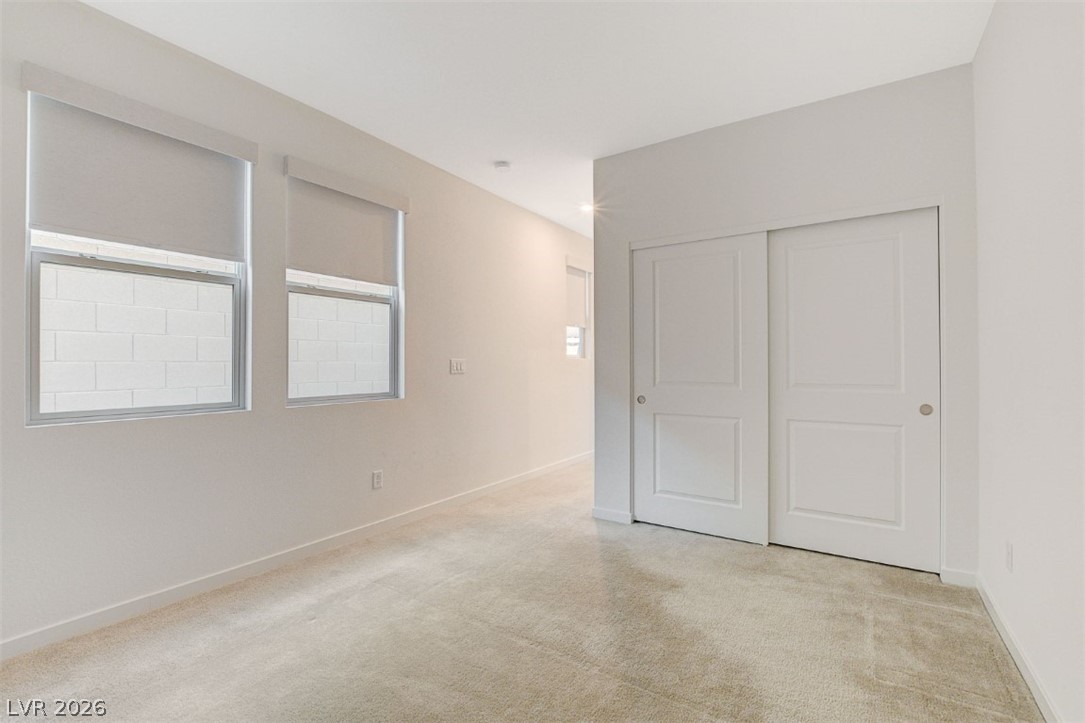 10280 Timberline Valley Avenue Property Photo 46