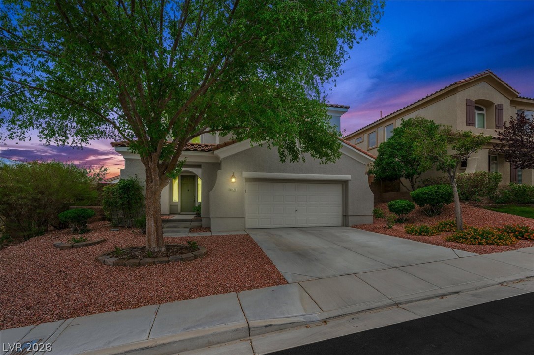 11132 Ferragamo Court Property Photo 2