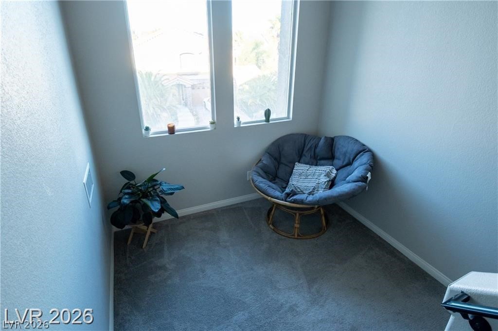 8525 Silver Coast Street Property Photo 13