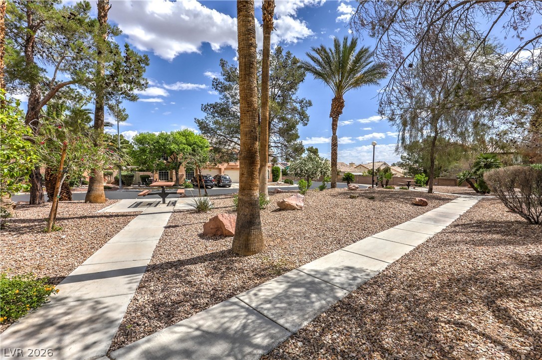 8433 Wandering Sun Avenue Property Photo 33