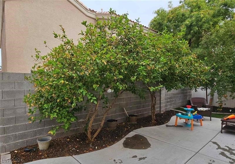 5901 Aimless Street Property Photo 5