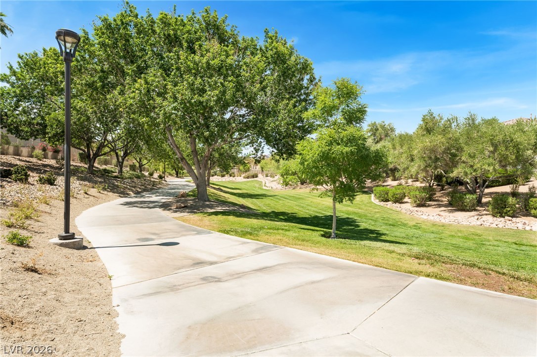 2409 Cockatiel Drive Property Photo 40
