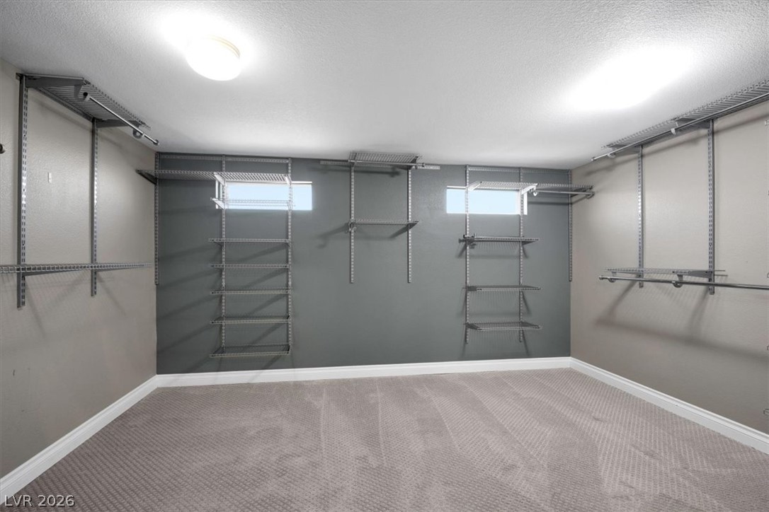 10453 Niagara Falls Lane Property Photo 29