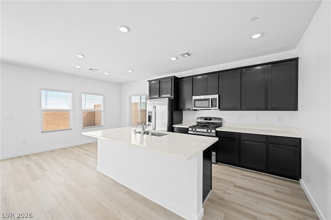 3350 Dancing Waters Street Property Photo 4