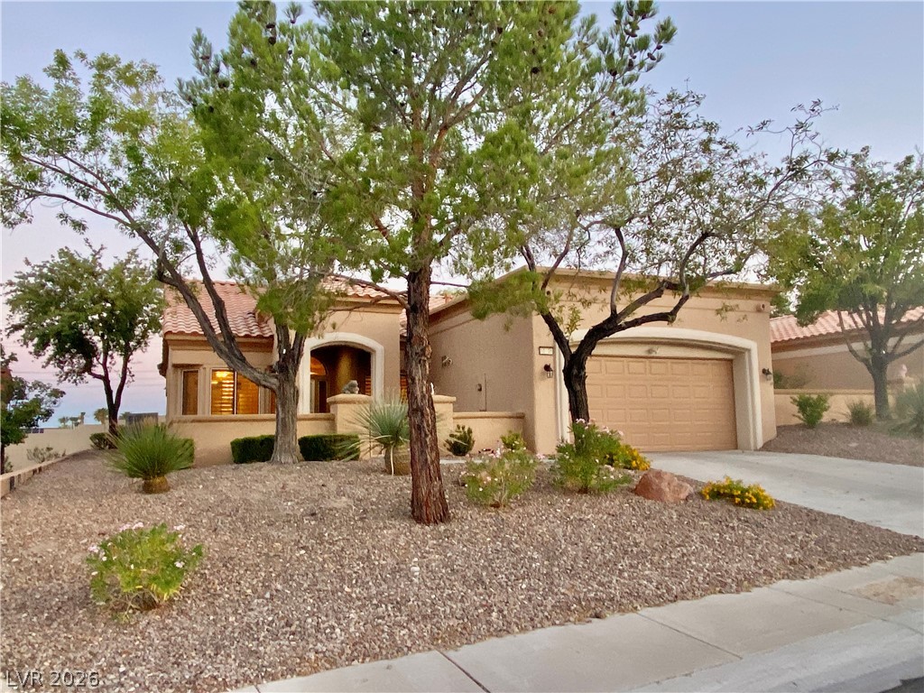 10731 Mission Lakes Avenue Property Photo 34