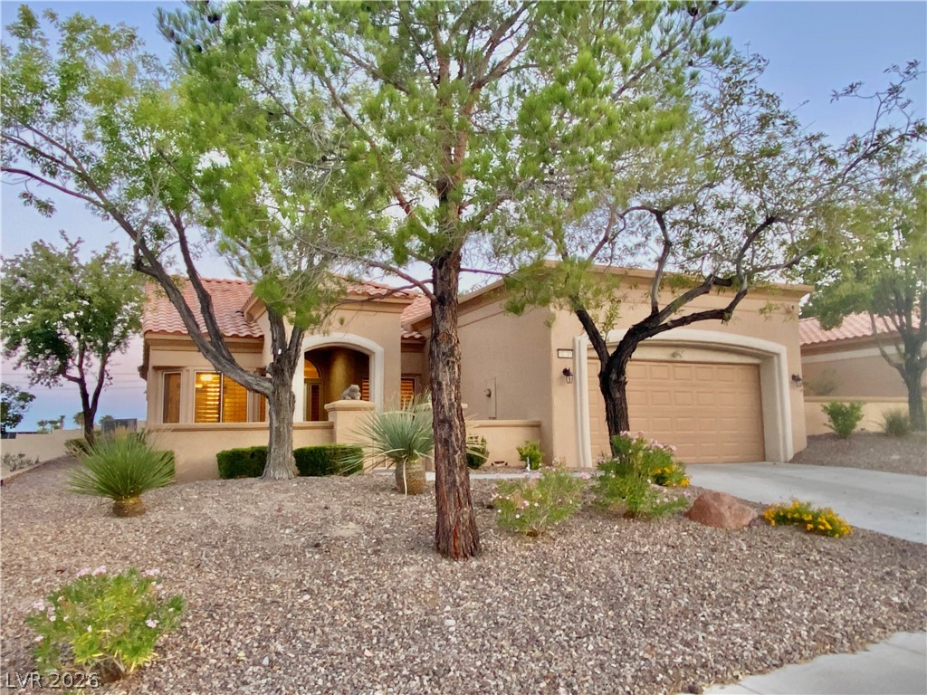 10731 Mission Lakes Avenue Property Photo 41