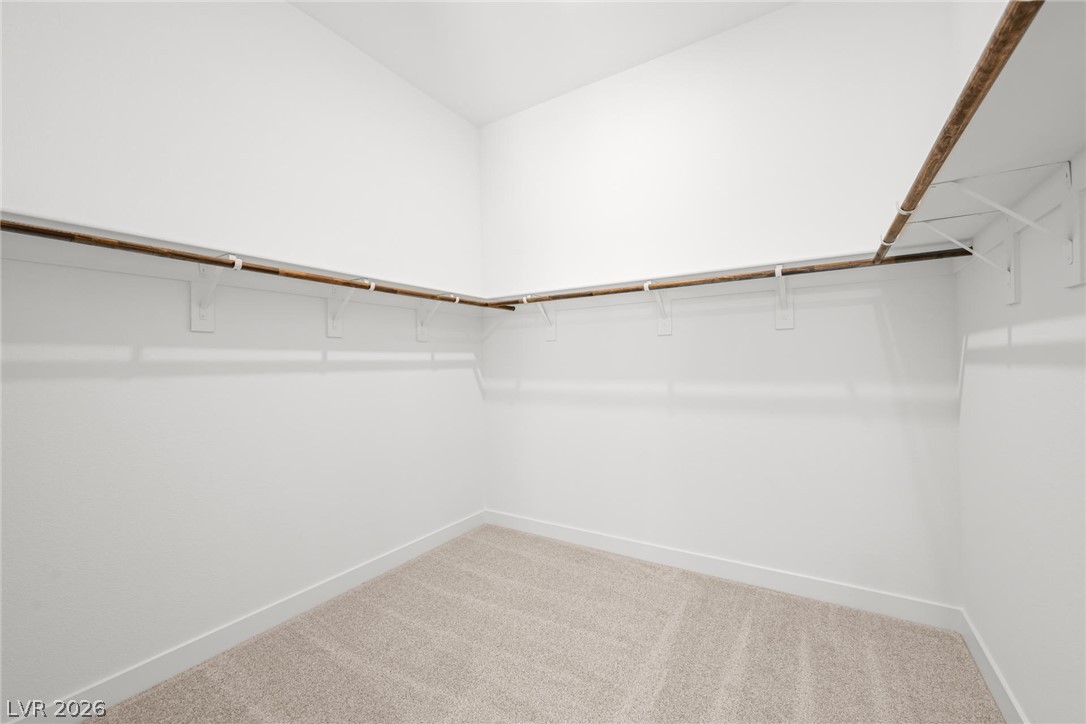 9378 Stella Summit Drive Property Photo 12