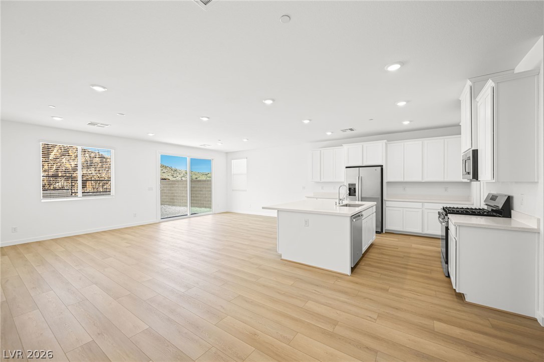 1441 Bianca Falls Drive Property Photo 3