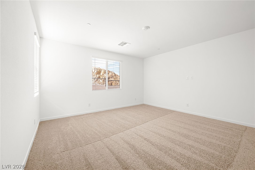 1441 Bianca Falls Drive Property Photo 19