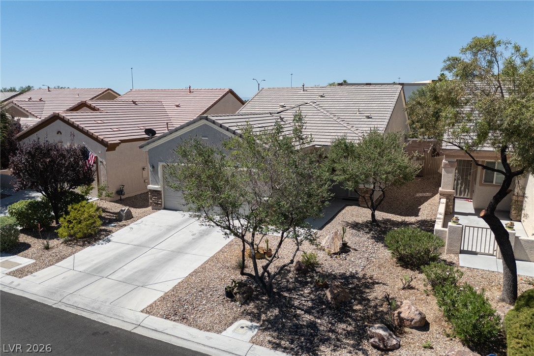 2505 Great Auk Avenue Property Photo 29