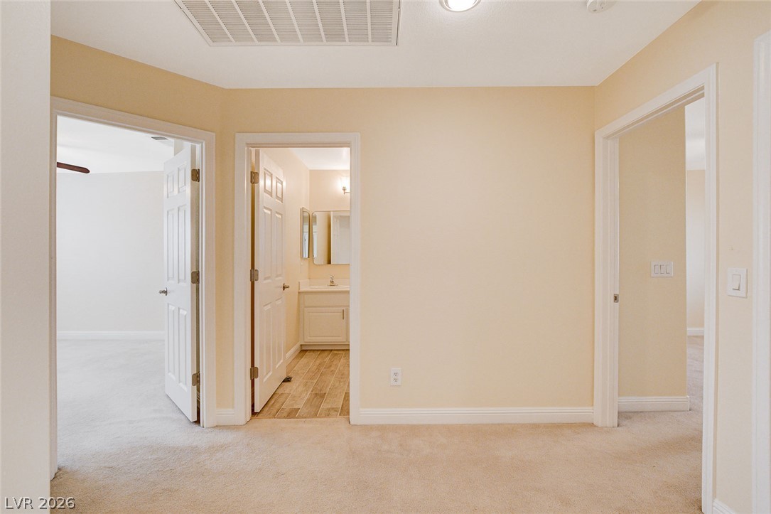 432 Staghorn Pass Avenue Property Photo 101