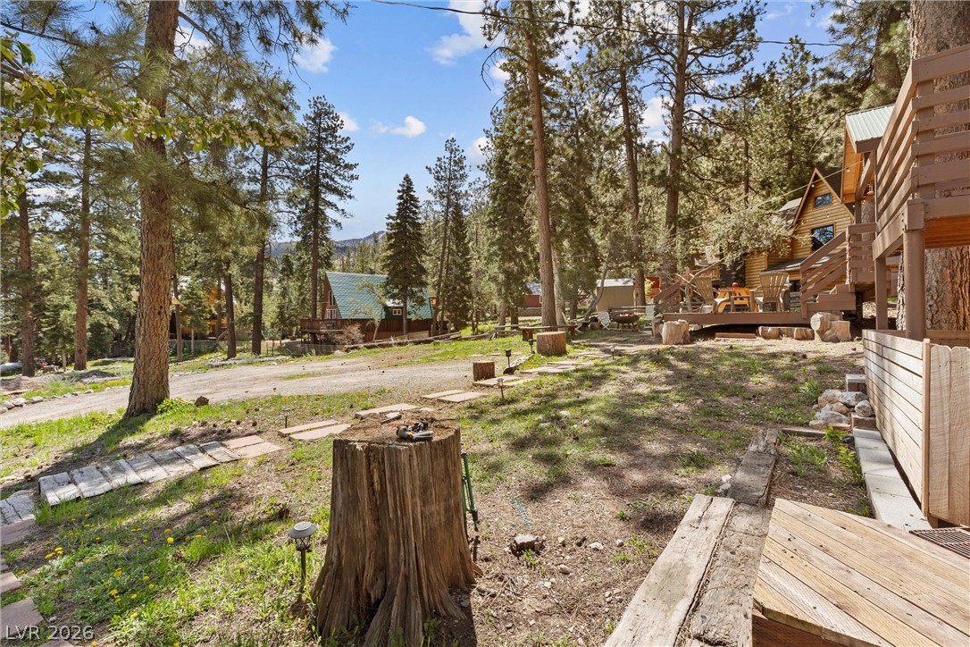 4187 Matterhorn Way Property Photo 41