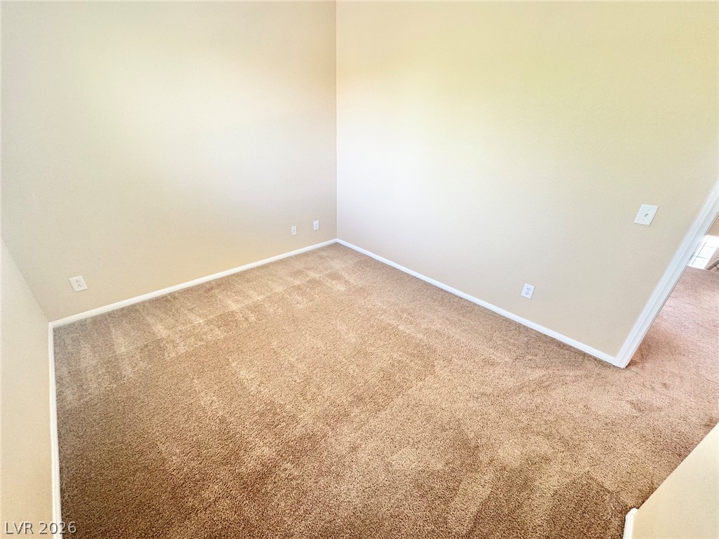 10424 Palm Village Street Property Photo 21