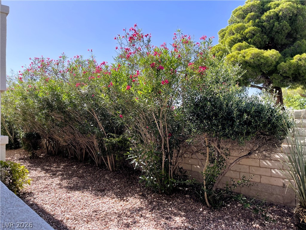 6820 San Ricardo Avenue 104 Property Photo 15