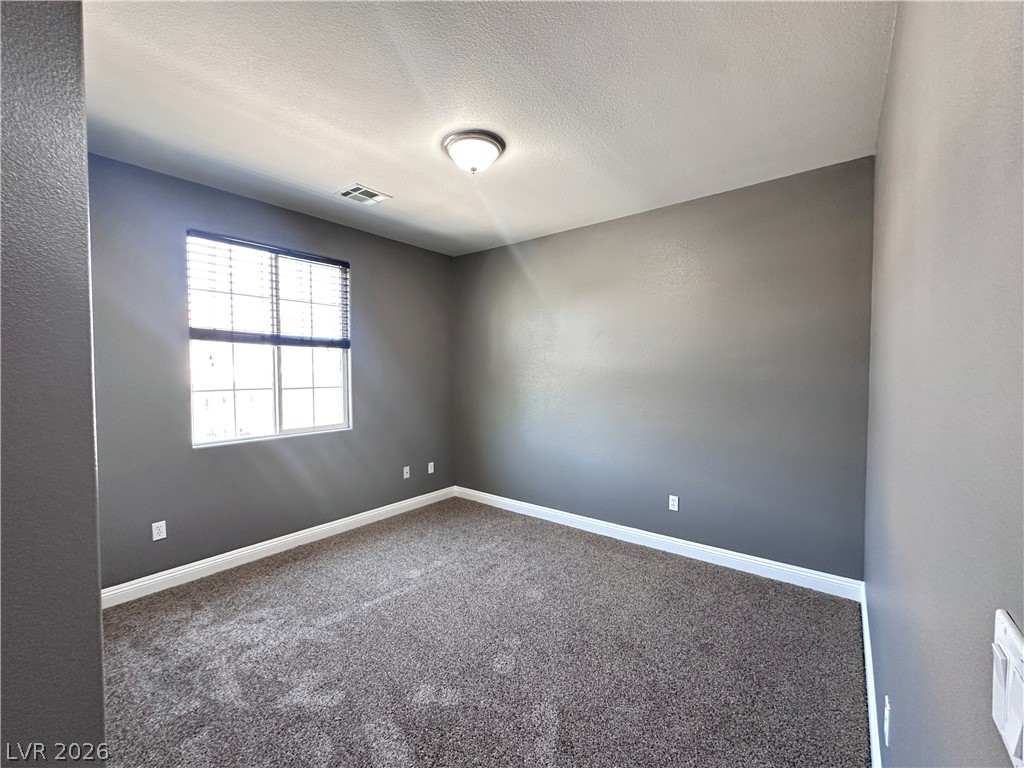 10076 Bright Charisma Court Property Photo 14