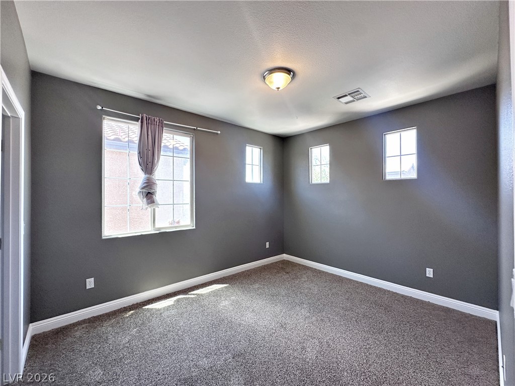 10076 Bright Charisma Court Property Photo 16