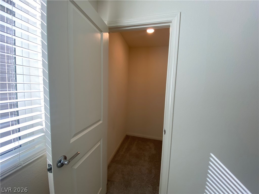 6882 Magenta Moon Street Property Photo 14