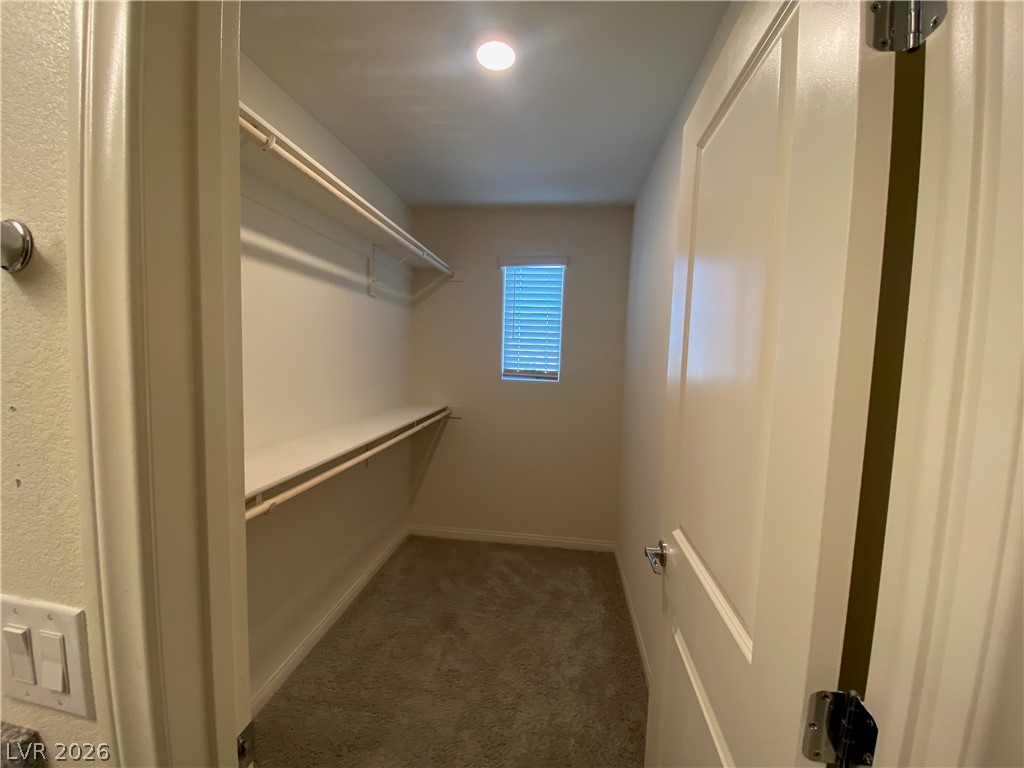 6882 Magenta Moon Street Property Photo 15