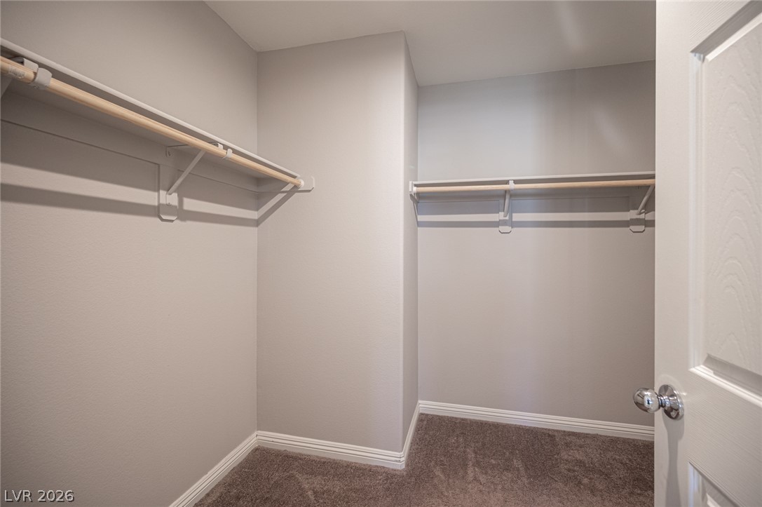 1201 Narrow Gorge Court Property Photo 29