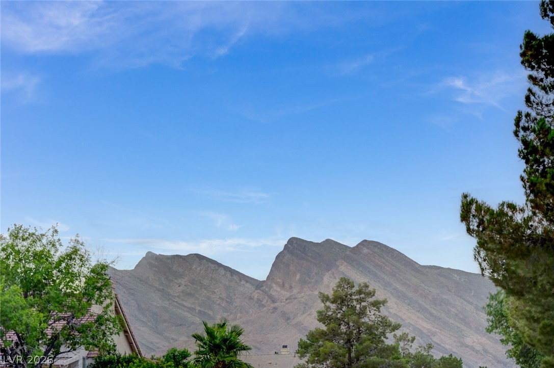 9740 Double Rock Drive Property Photo 44
