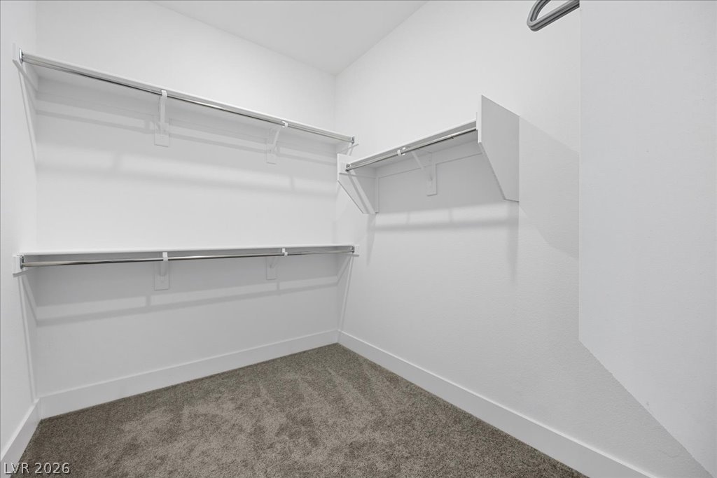 10232 Eden Mountain Street Property Photo 19