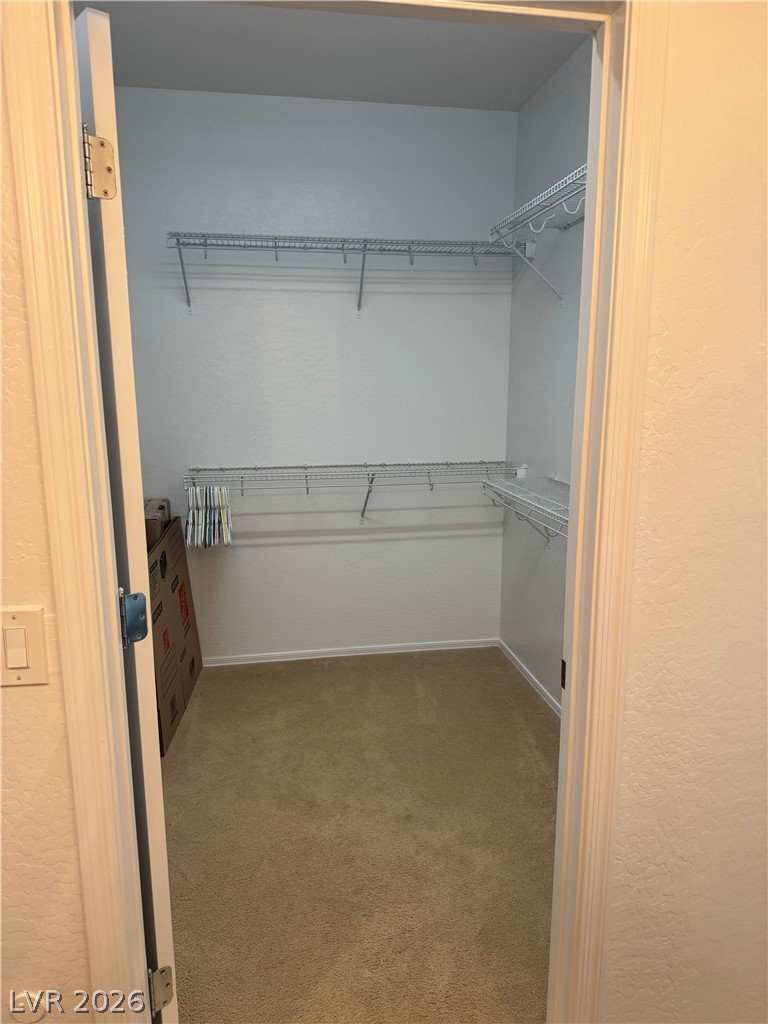 2645 Cheer Pheasant Avenue Property Photo 22