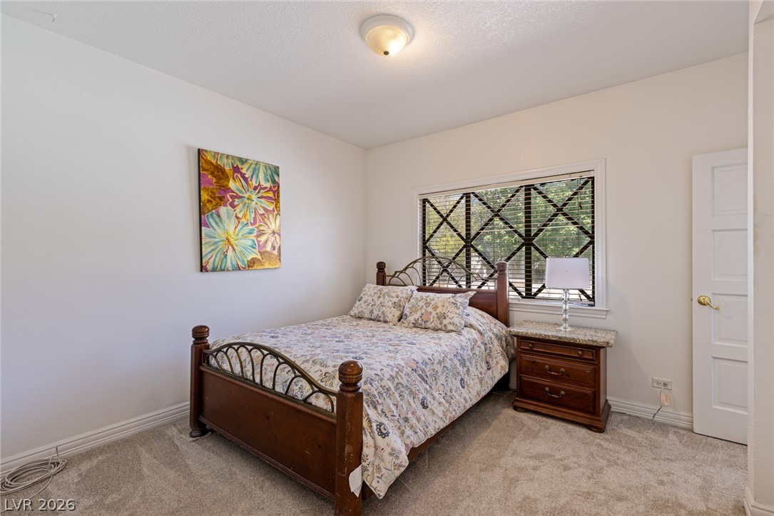 221 Dalmatian Lane Property Photo 49