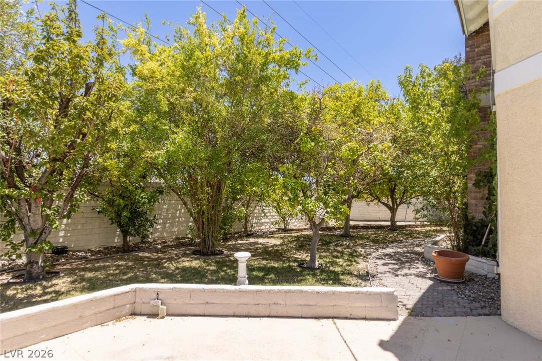 221 Dalmatian Lane Property Photo 56