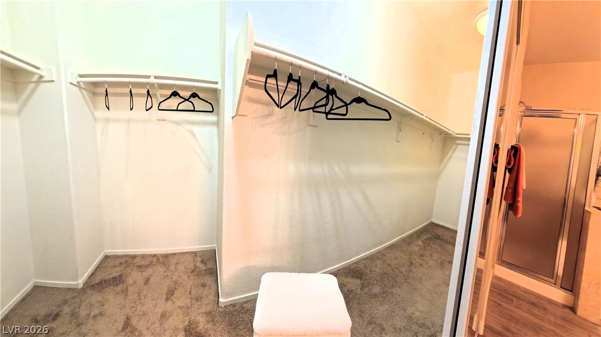 3548 Las Animas Court Property Photo 19