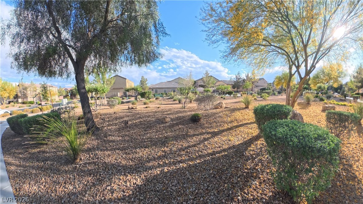 3548 Las Animas Court Property Photo 44