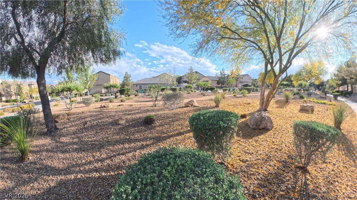 3548 Las Animas Court Property Photo 45