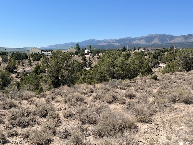 Pinyon Pine Property Photo 2
