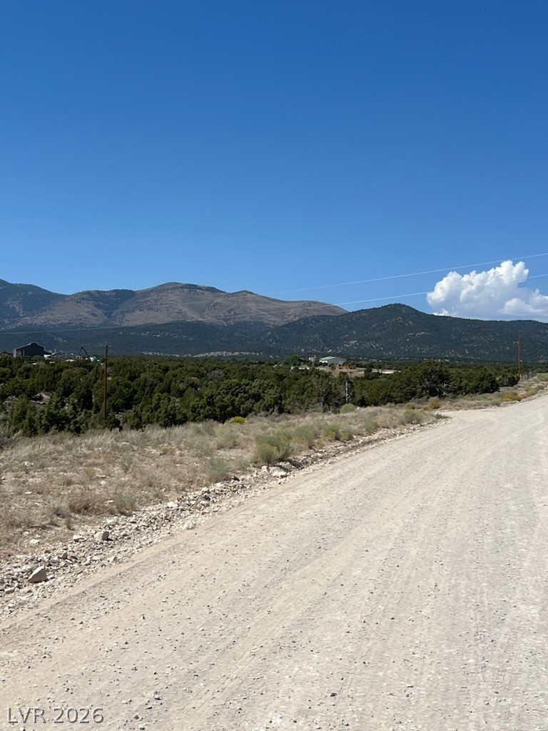 Pinyon Pine Property Photo 3