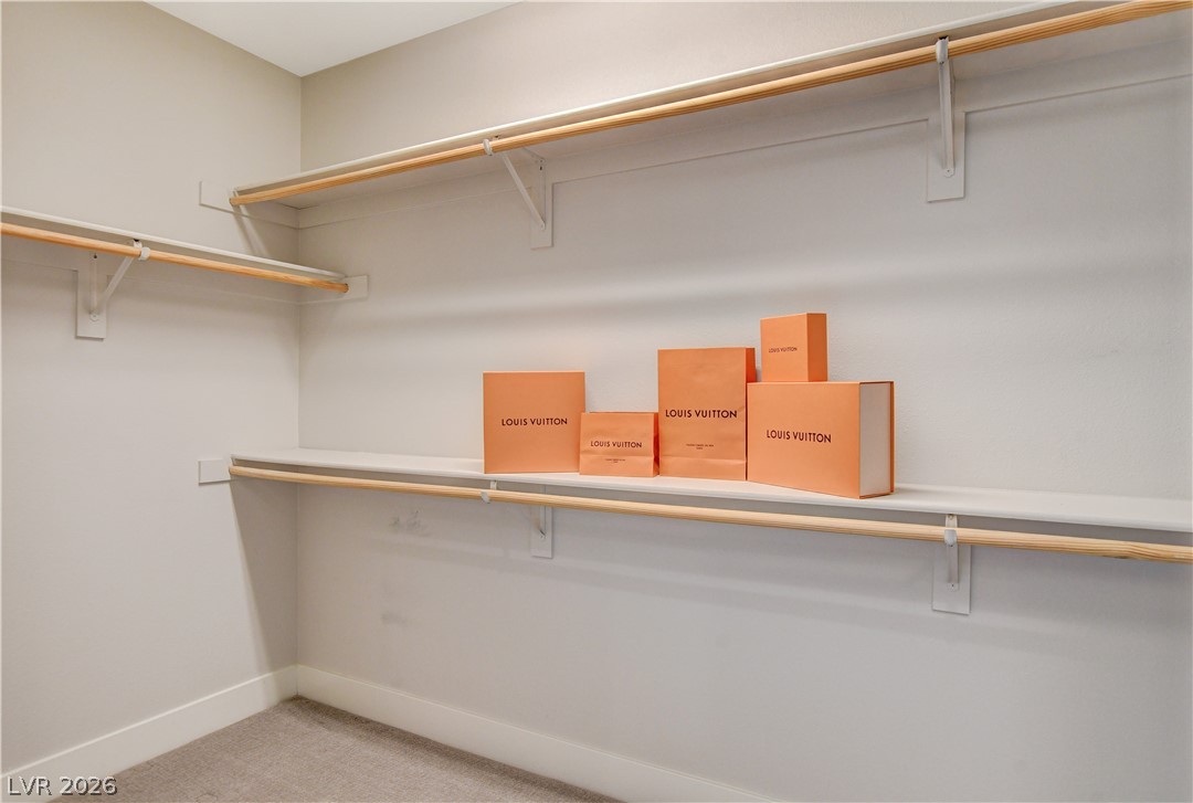 10885 Crimson Cliffs Avenue Property Photo 27
