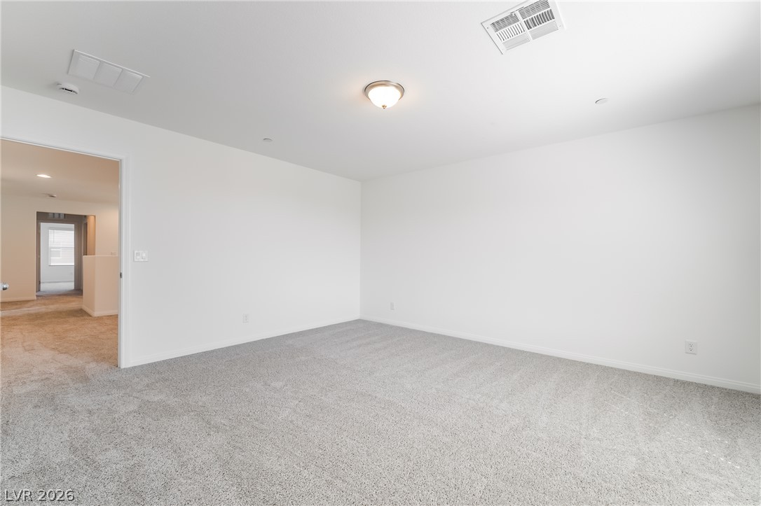 9338 Juniper Shade Street Property Photo 11