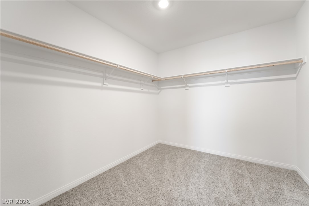 9338 Juniper Shade Street Property Photo 13