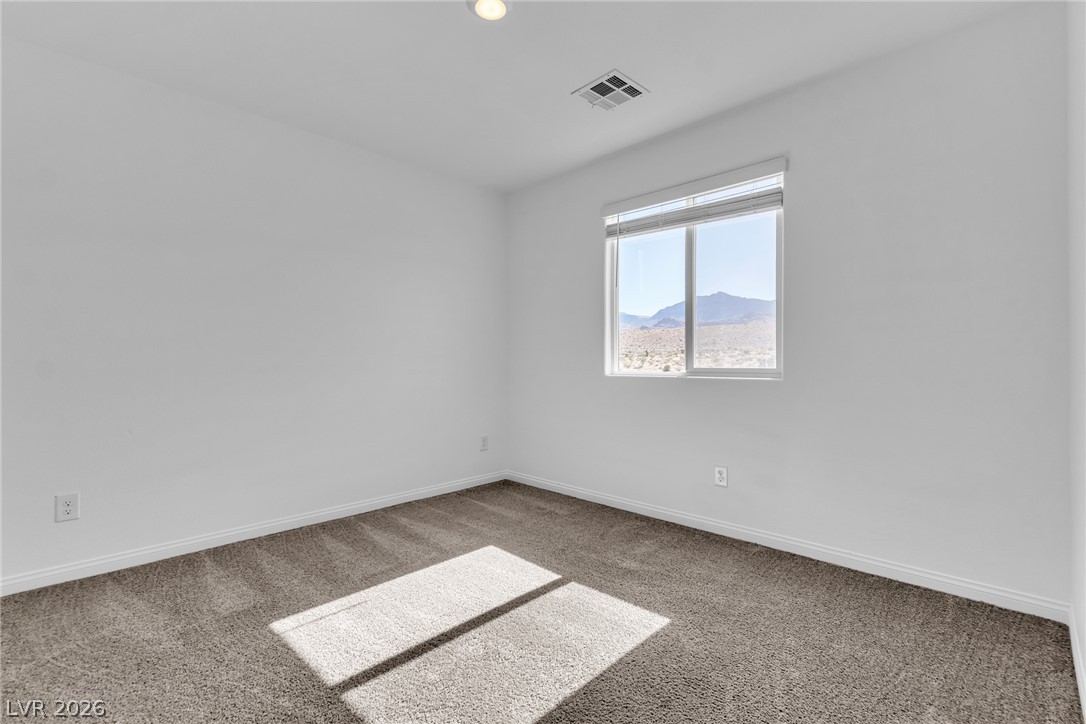 7019 Alabaster Peak Street Property Photo 41