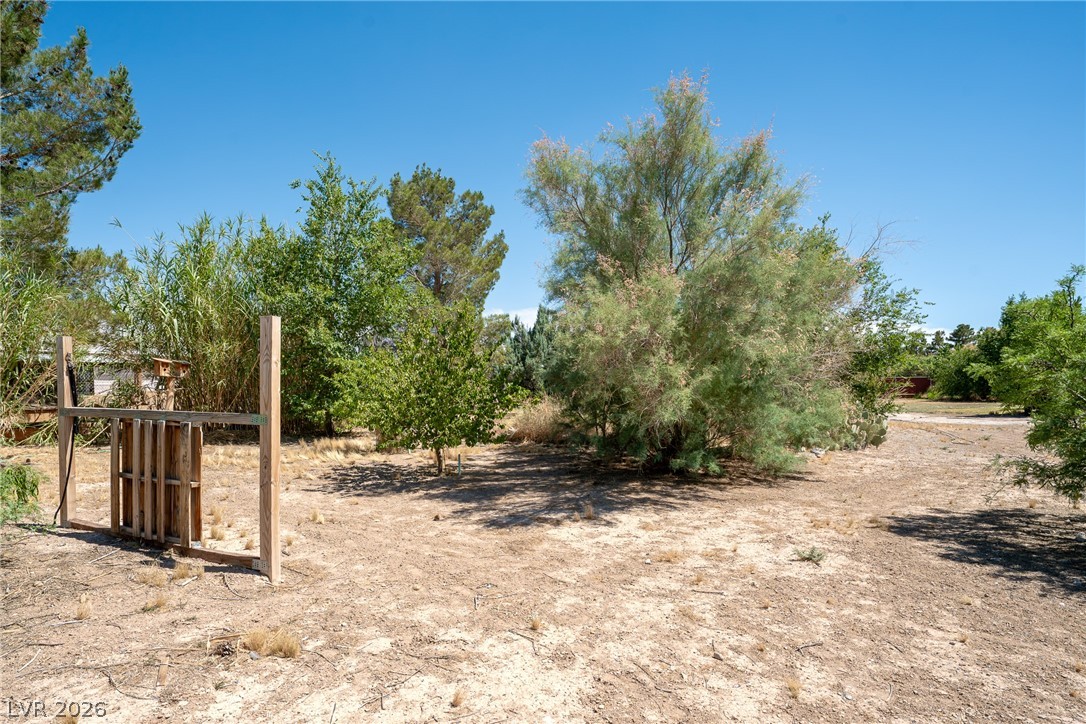 1531 Bridger Street Property Photo 57