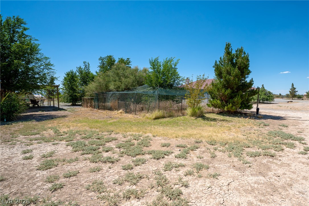 1531 Bridger Street Property Photo 59