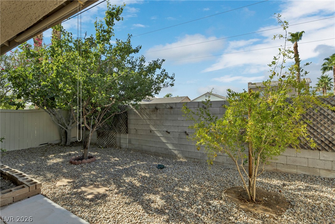 609 Elliot Peak Avenue Property Photo 19