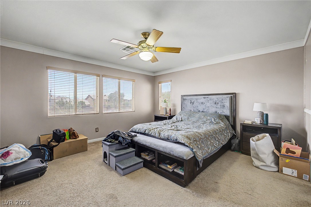 6017 Leaping Foal Street Property Photo 19