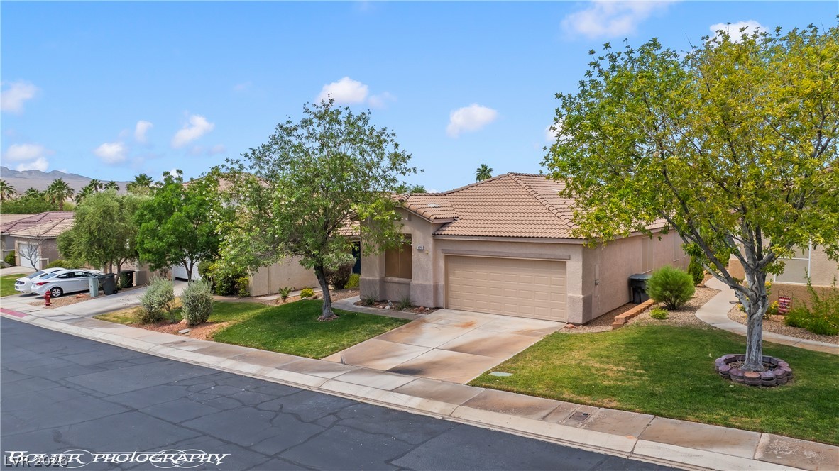 471 Canyon View Way Property Photo 6