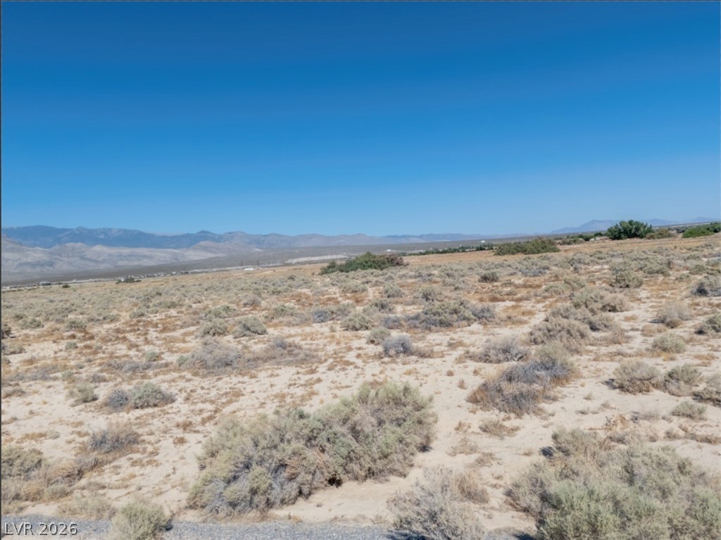4081 South Dice Avenue Property Photo 16